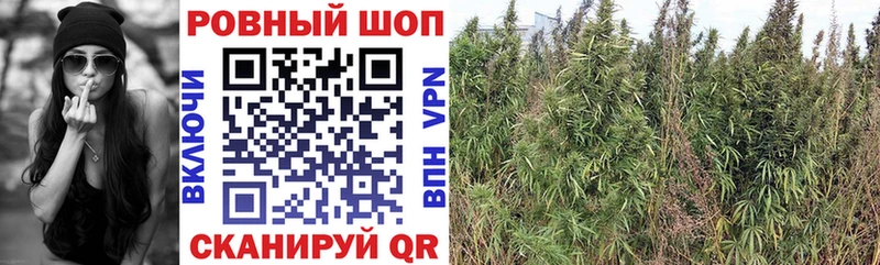 Какие есть наркотики Вихоревка Конопля  МЕФ  A-PVP  ГАШИШ  Кокаин 