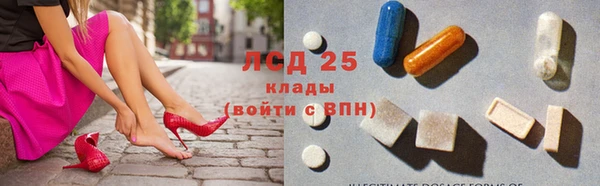 ПСИЛОЦИБИНОВЫЕ ГРИБЫ Алзамай