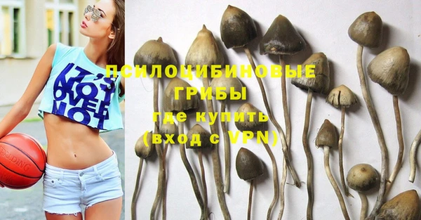 стафф Алексин